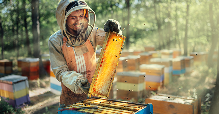 © AdobeStock/Аrtranq